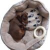 Bouillotte Chien Micro-ondes 5