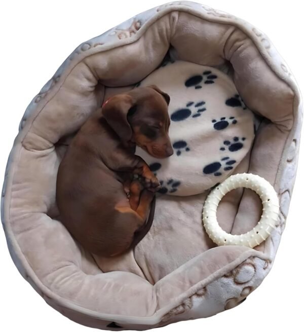 Bouillotte Chien Micro-ondes 5
