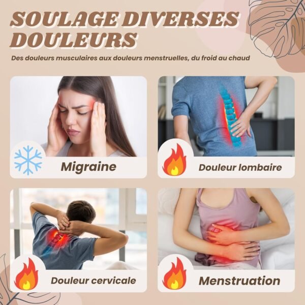 Bouillotte Graine Micro Ondes 3