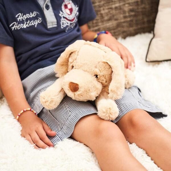 Bouillotte Micro Onde Grande Peluche 4