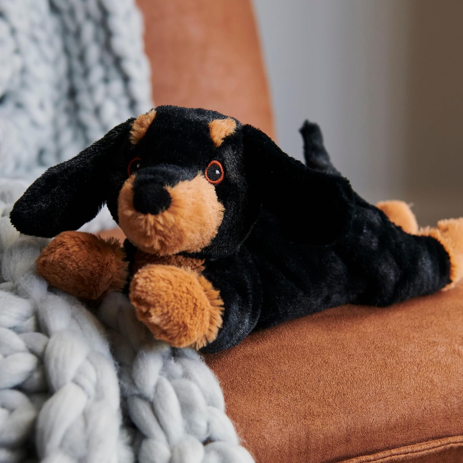 Bouillotte Peluche Chien Micro Ondes