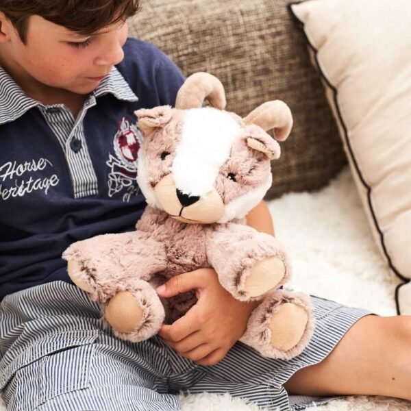 Bouillotte Peluche Micro Onde Etam 4